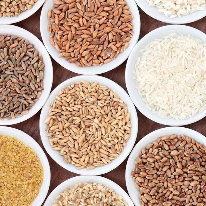 Millet Seeds Exporter in Gujarat