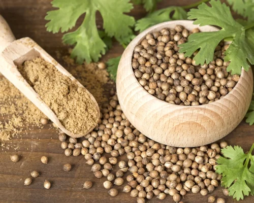 Coriander_Seeds